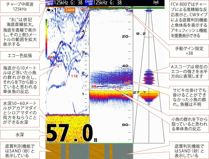 アマダイを追う vol.8 GPS魚探映像
