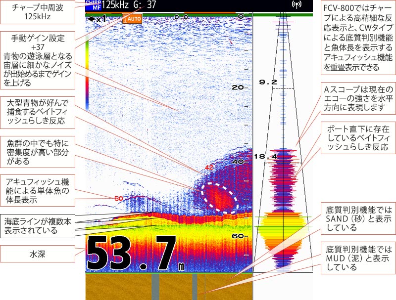 青物を追う vol.7 魚探映像