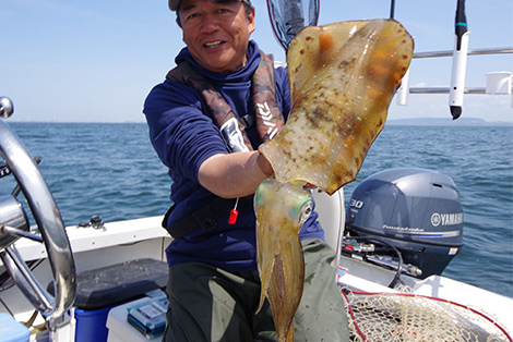 アオリイカを追う vol.9 釣果写真