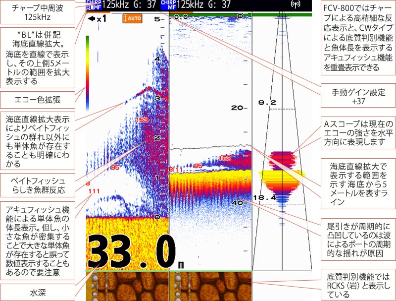 カンパチを追う vol.7 GPS魚探映像