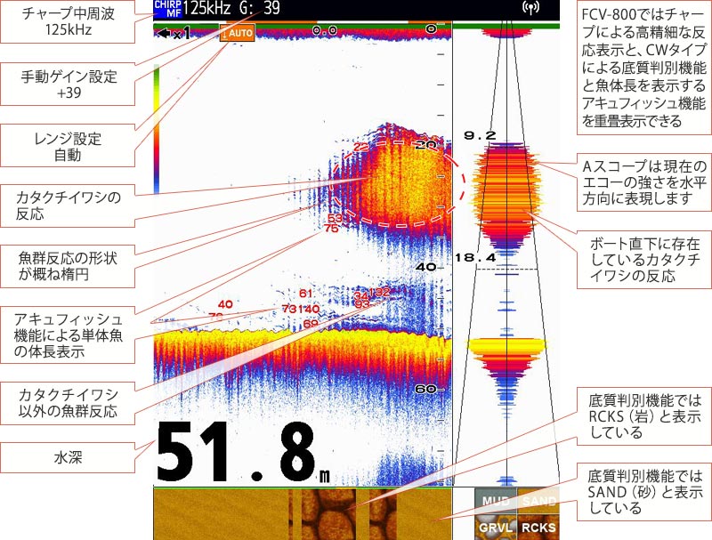 カタクチイワシを追う vol.4 GPS魚探映像