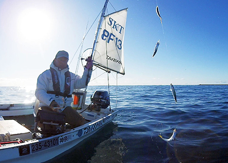 カタクチイワシを追う vol.4 釣果写真