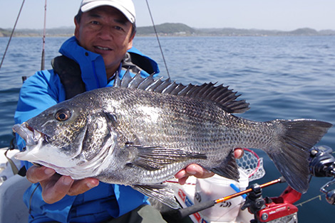 釣果写真：クロダイを追う
