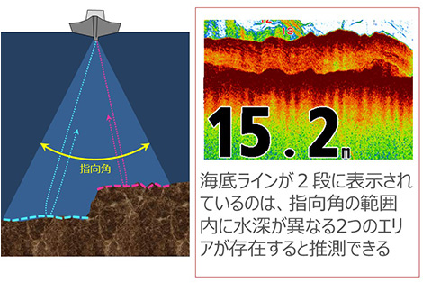 詳細説明写真：クロダイを追う