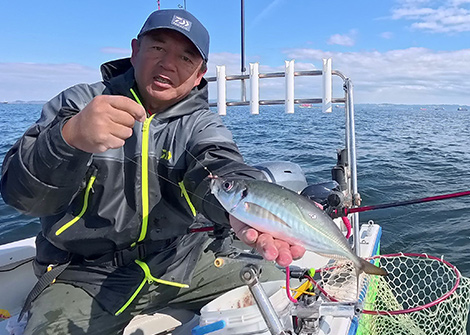 マアジを追う vol.13