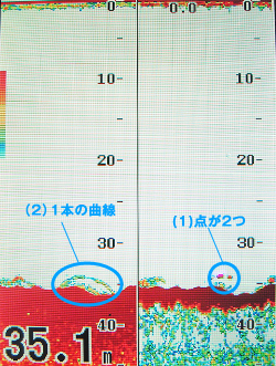 マダイを追う vol.7 GPS魚探映像