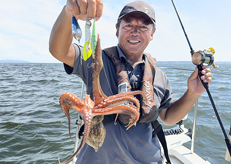 マダコを追う vol.1