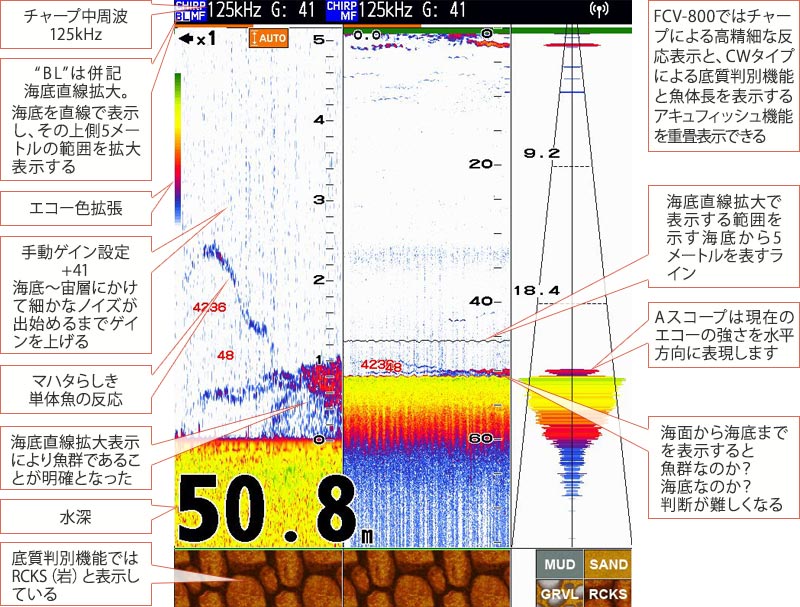 マハタを追う vol.5 魚探映像