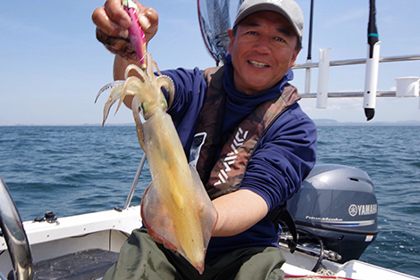 マルイカ（ケンサキイカ）