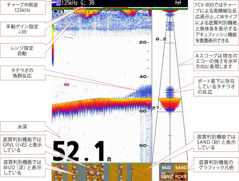 タチウオを追う vol.6 魚探映像