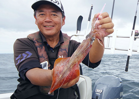 ヤリイカを追う vol.7 釣果写真